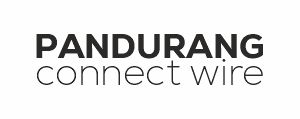 pandurang connect wire logo
